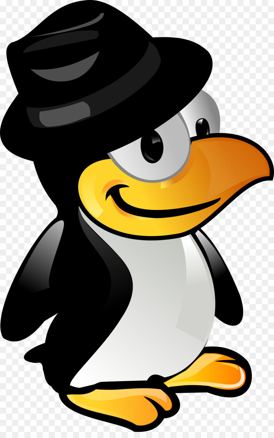 Pingüino Con Sombrero，Lindo PNG