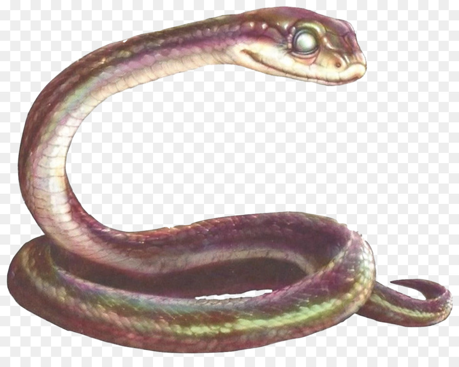 La Serpiente，La Señora Plithiver PNG