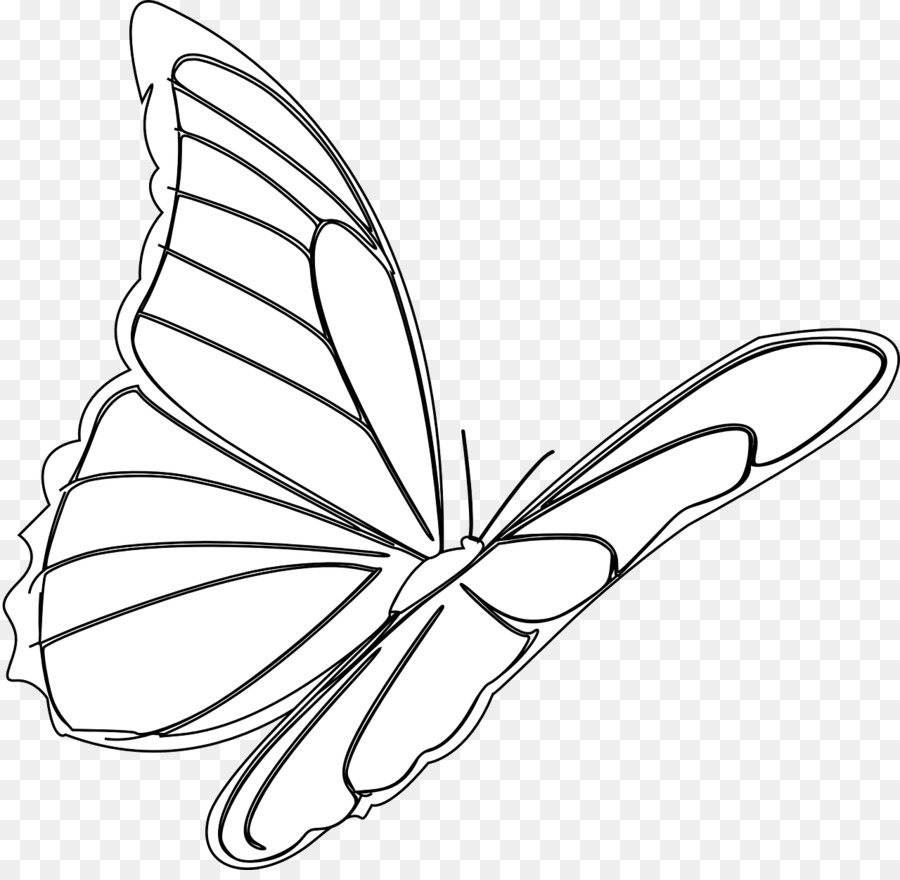 Mariposa，Describir PNG