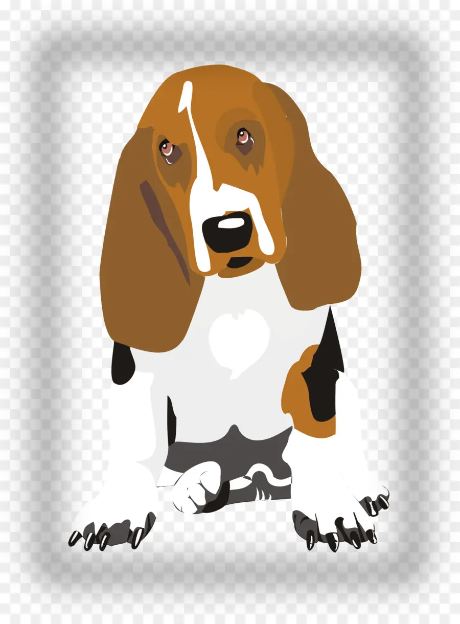 Basset Hound，Beagle PNG