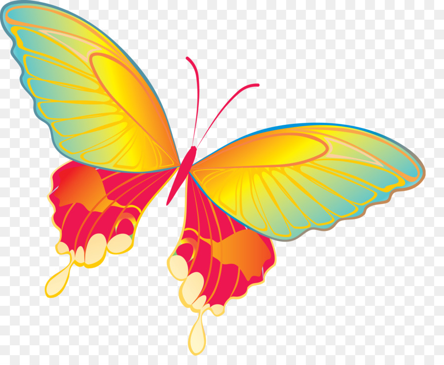 Mariposa，Descargar PNG