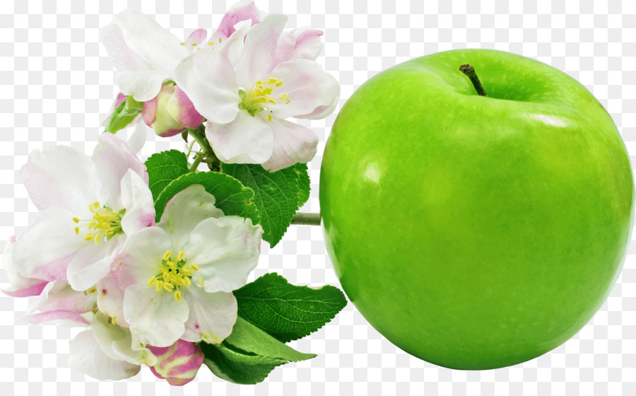 Apple，Flor PNG