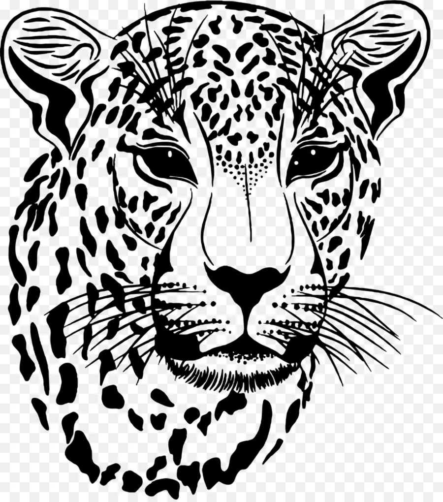 Leopardo，Rostro PNG