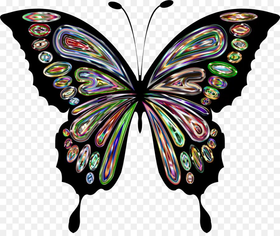 Mariposa，Dibujo PNG