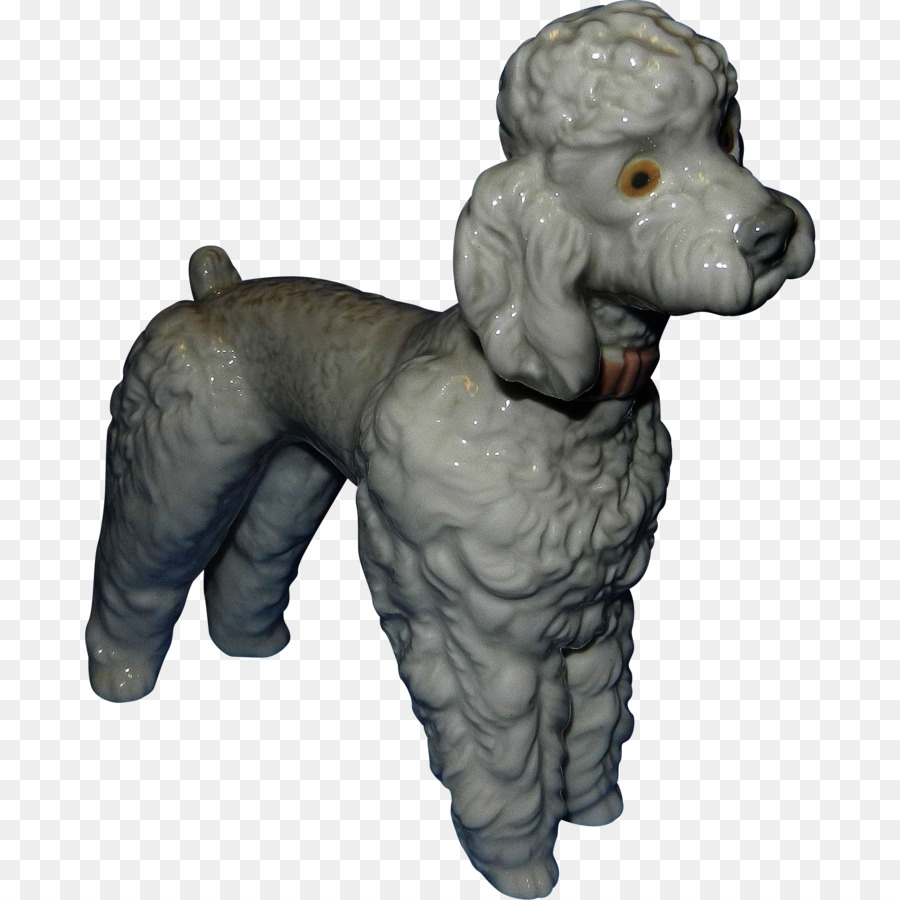 Caniche，Poodle Estándar PNG