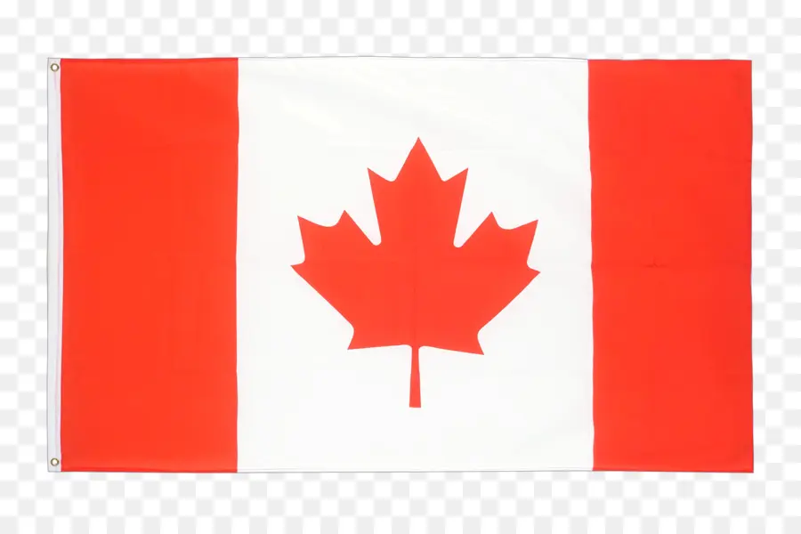 Bandera Canadiense，Hoja De Arce PNG