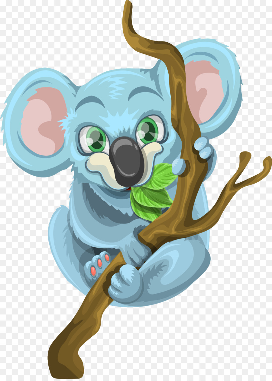 Koala，Gato PNG