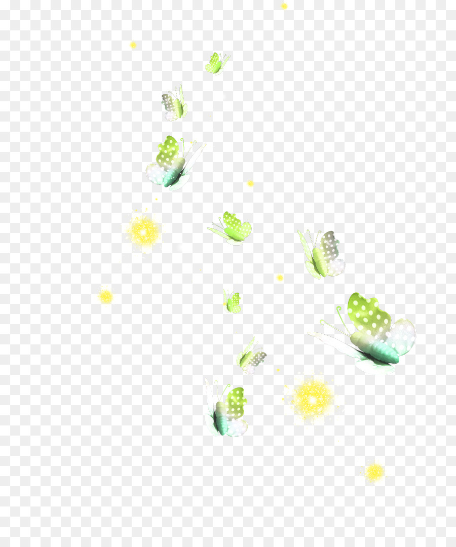 Fondo De Escritorio，Flor PNG