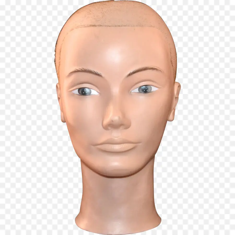 Cabeza De Maniquí，Mostrar PNG