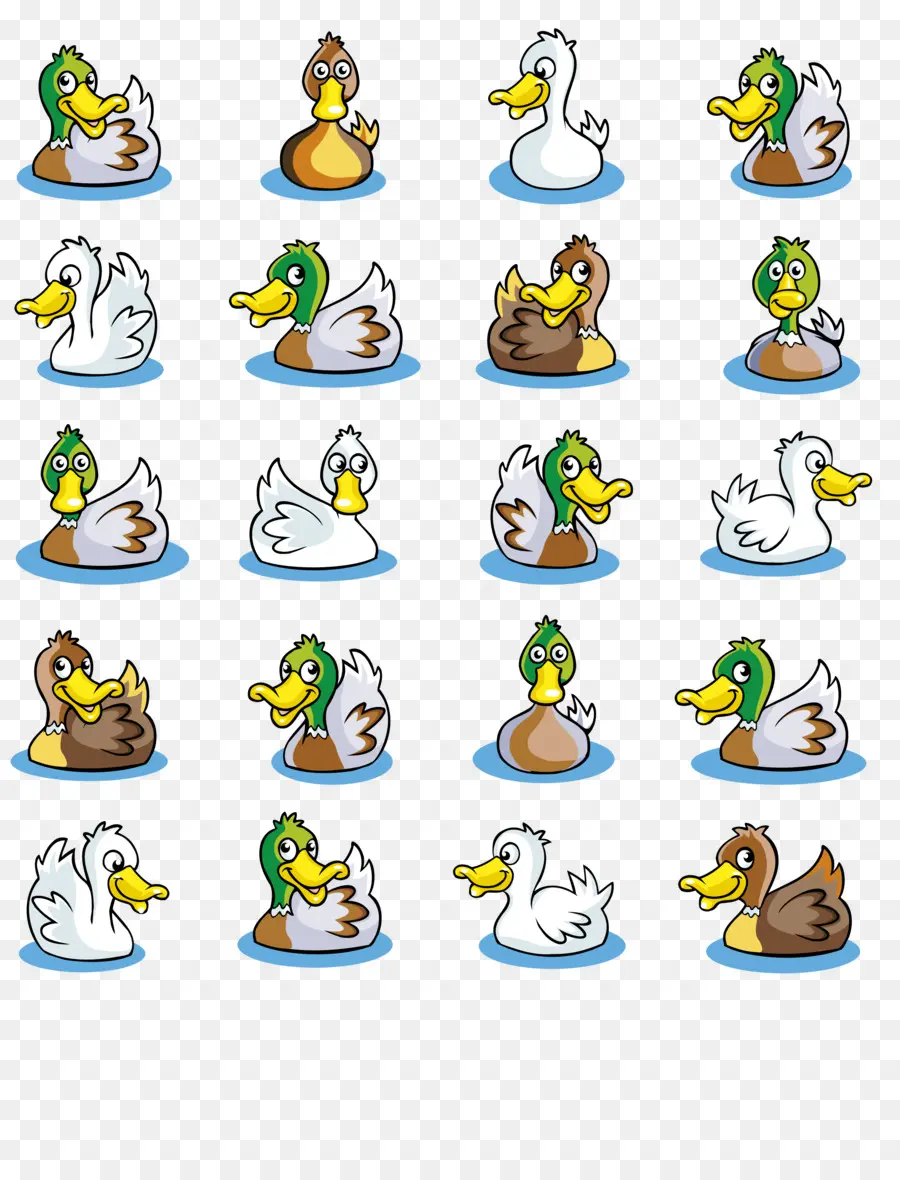 Patos De Dibujos Animados，Animales PNG