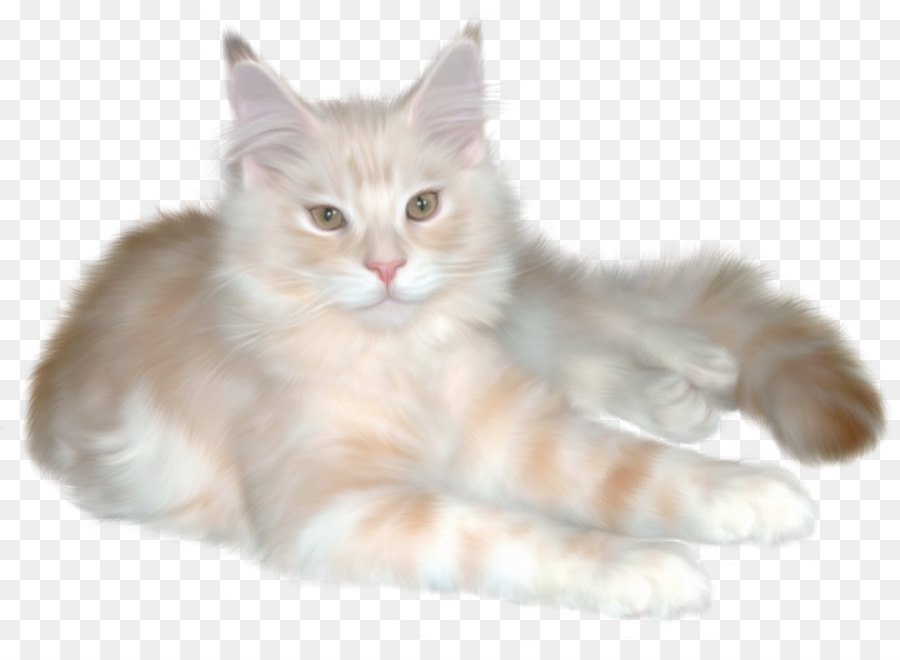 Gato Persa，Gatito PNG