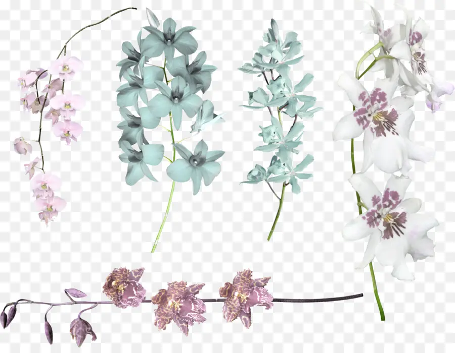 Ramas De Flores，Florecer PNG