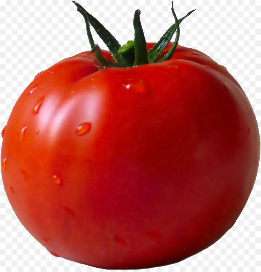 Tomate，Vegetal PNG