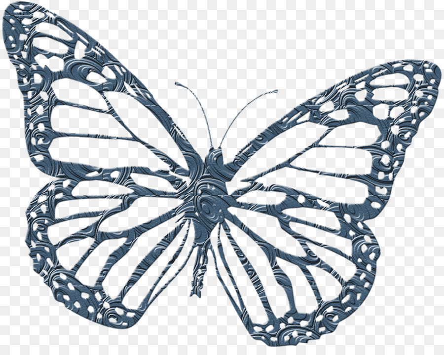 Mariposa，Libro De Colorear PNG