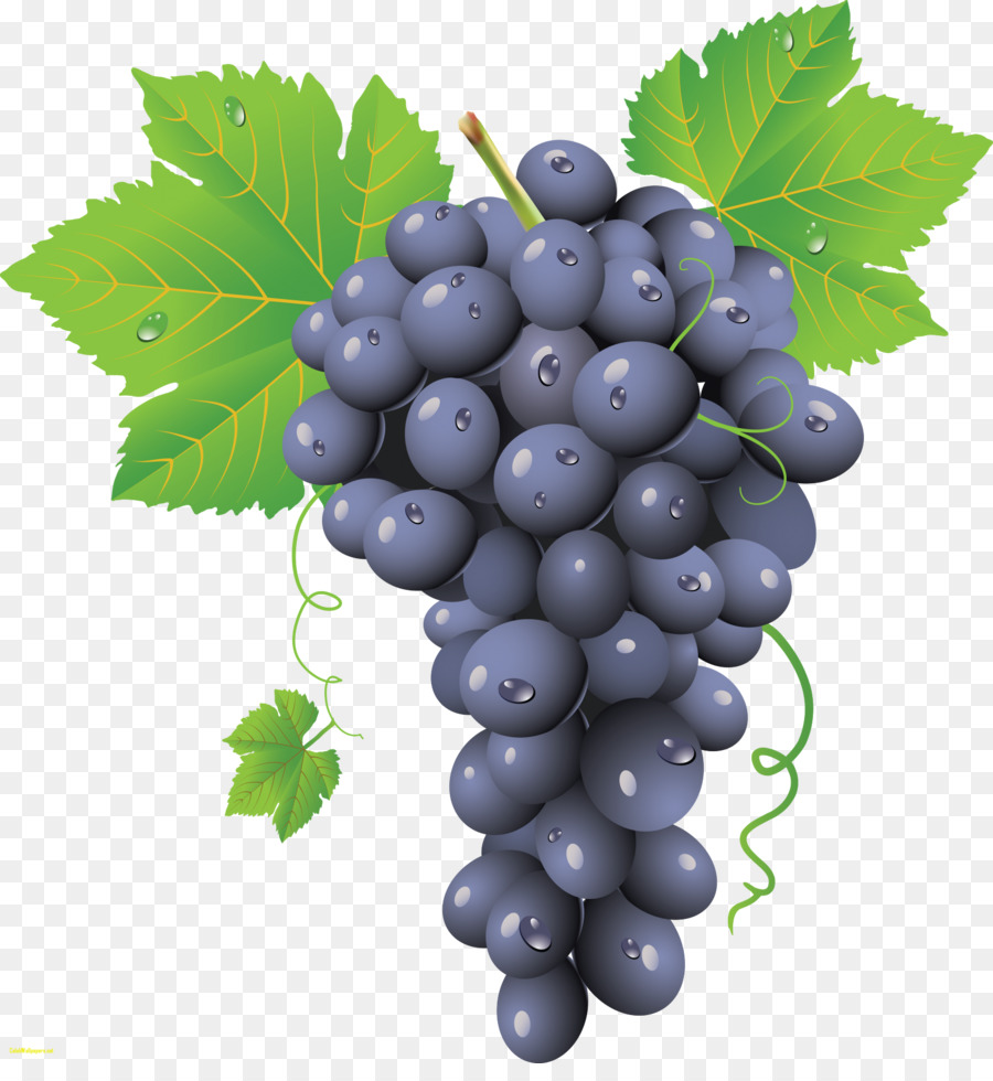 Común De La Uva De La Vid，Vino PNG