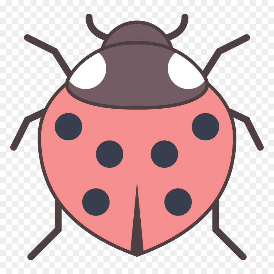 Escarabajo，Invertebrados PNG