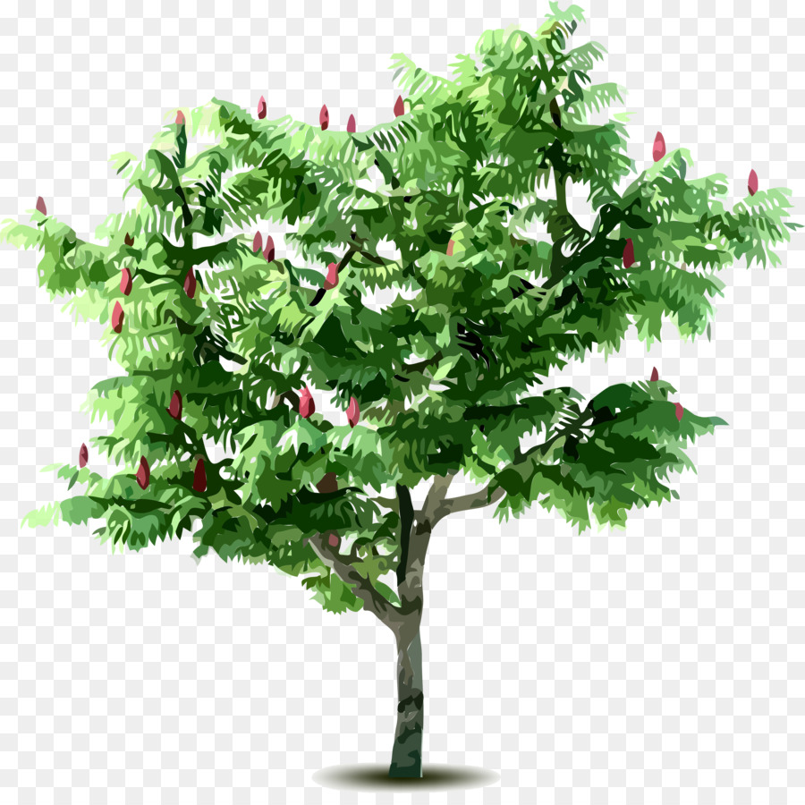 Fertilizantes，árbol PNG