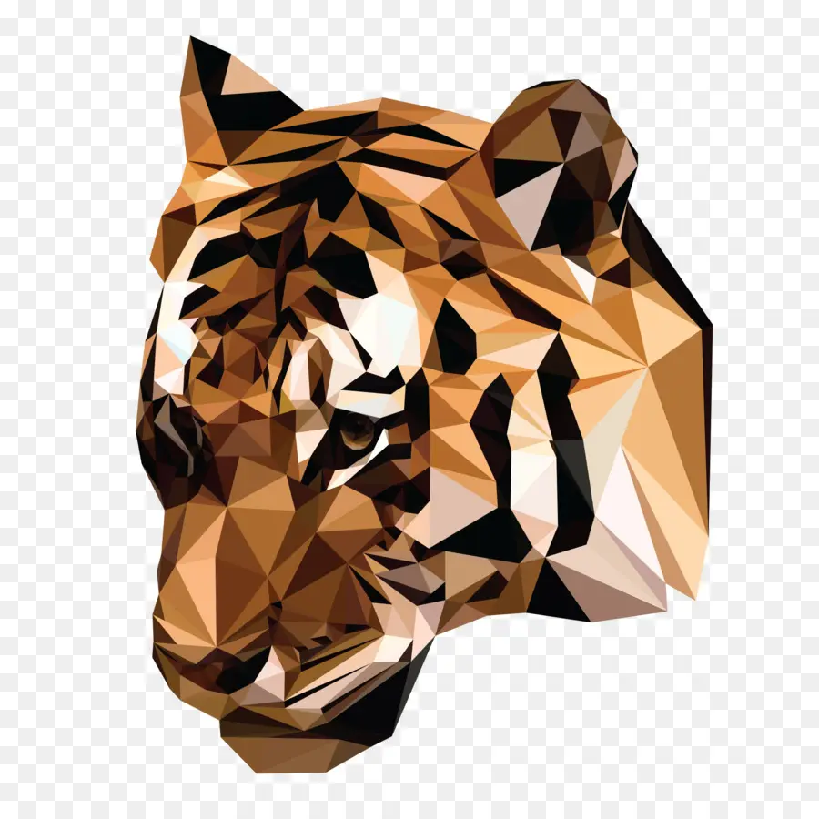 Tigre，Cabeza PNG