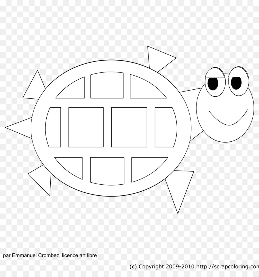 Dibujo De Tortuga，Tortuga PNG