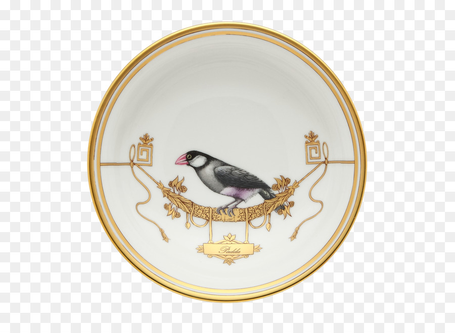 Doccia De Porcelana，Porcelana PNG