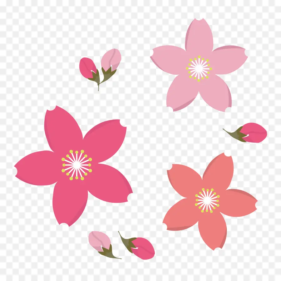 Flores Rosadas，Florecer PNG