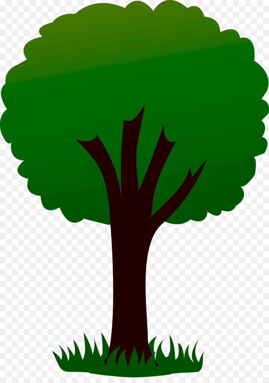 árbol Verde，Árbol PNG