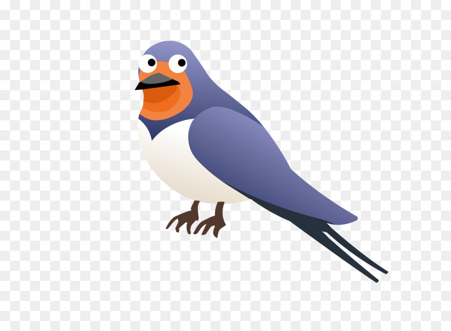 Ilustración De Aves，Plumas PNG