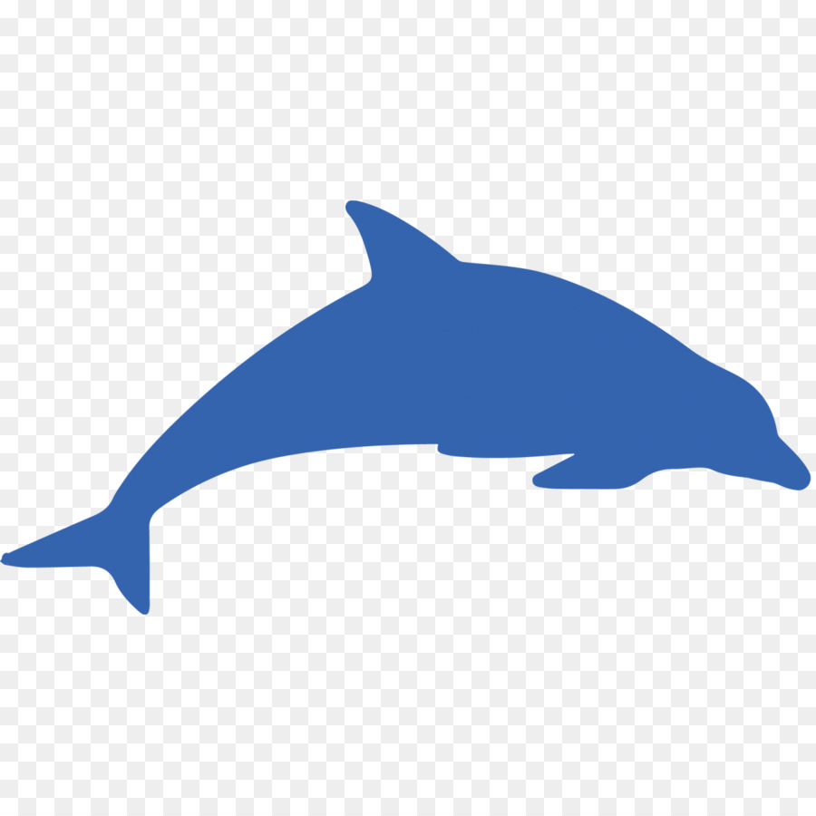 Dolphin，Iconos De Equipo PNG