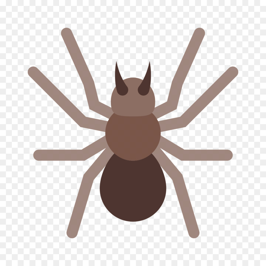 Cucaracha，Insecto PNG