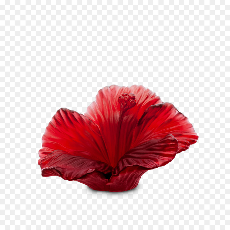 Flor，Daum PNG