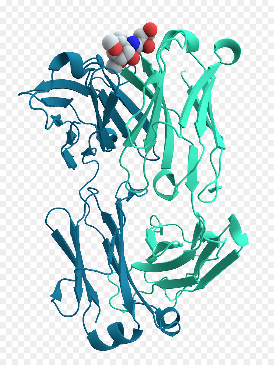 La Proteína，Celular PNG