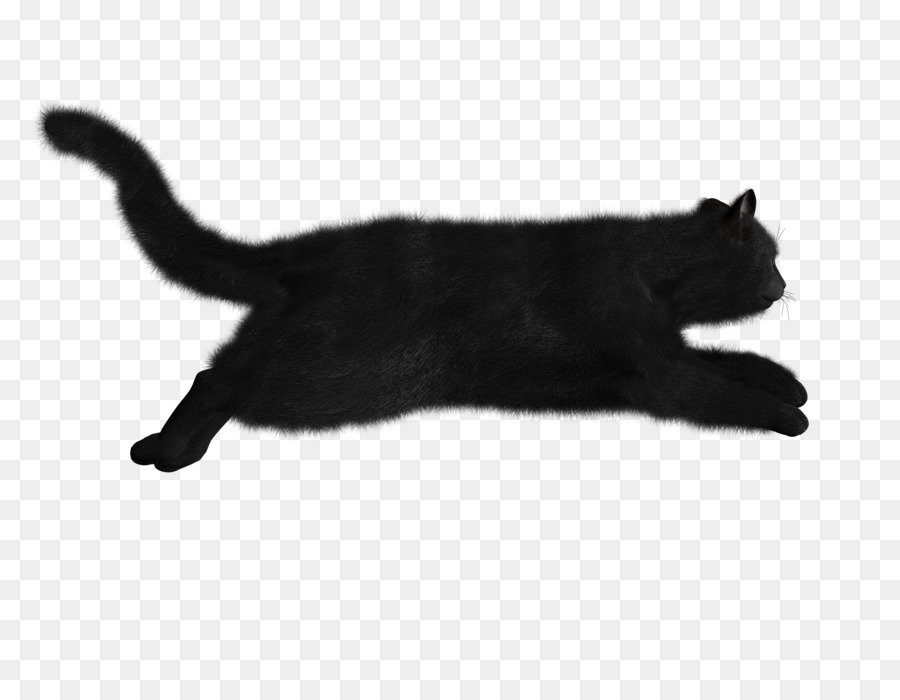 Silueta De Gato，Mascota PNG