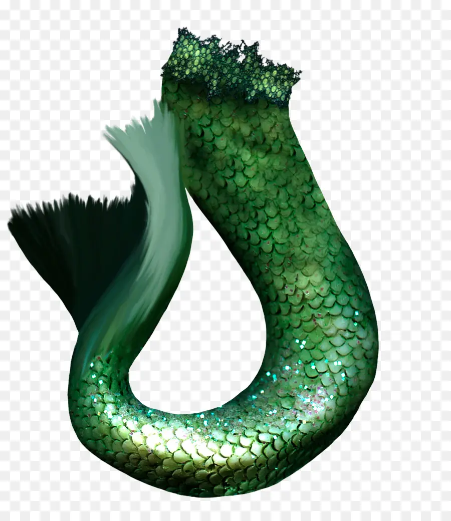 Sirena，La Fotografía PNG