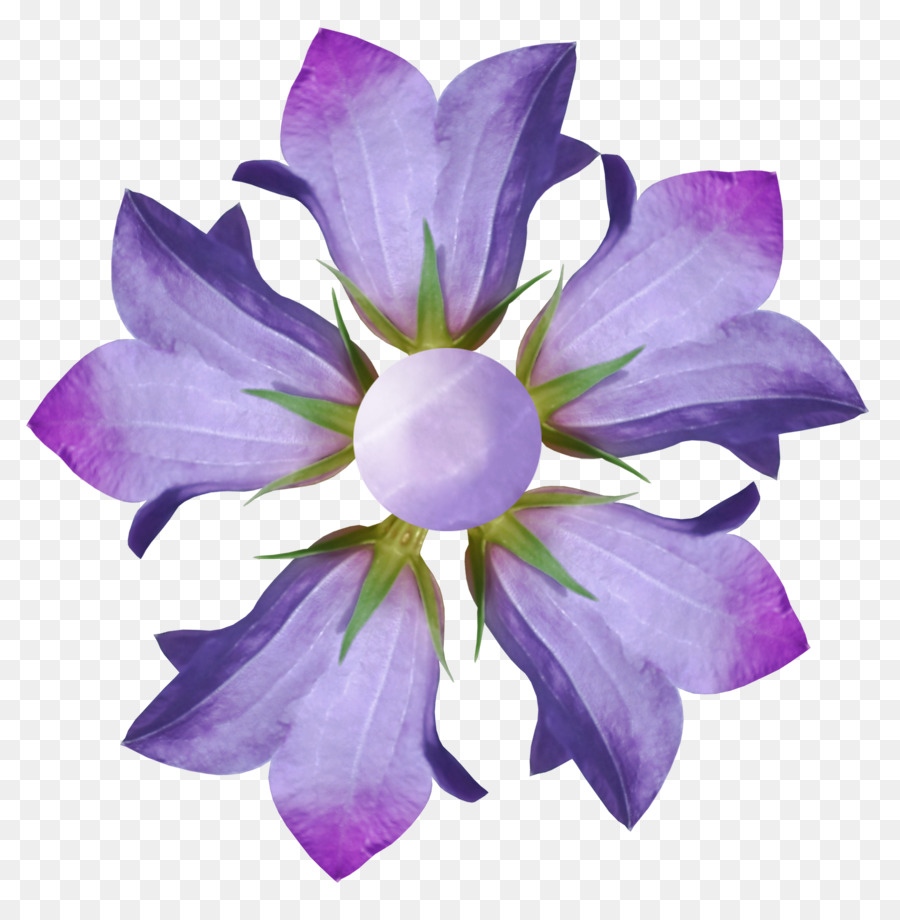 Flor，La Fotografía PNG