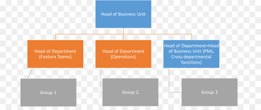 Organización，Estructura De La Organización PNG