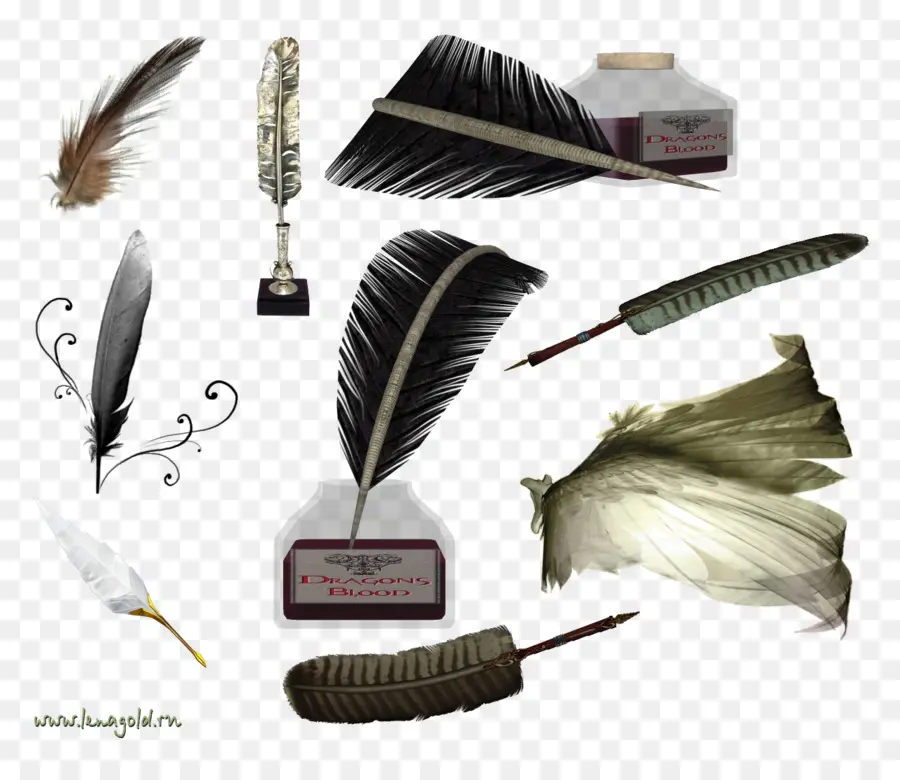 Plumas Y Tinta，Plumas PNG