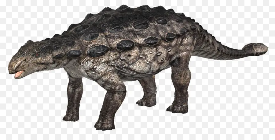 Ankylosaurus，Tyrannosaurus PNG