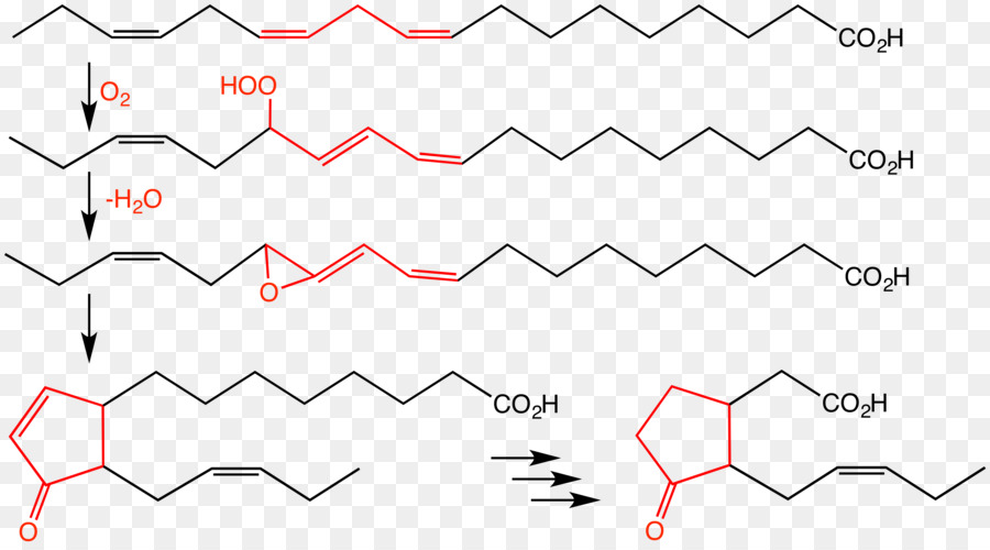 El ácido Jasmónico，Jasmonato PNG
