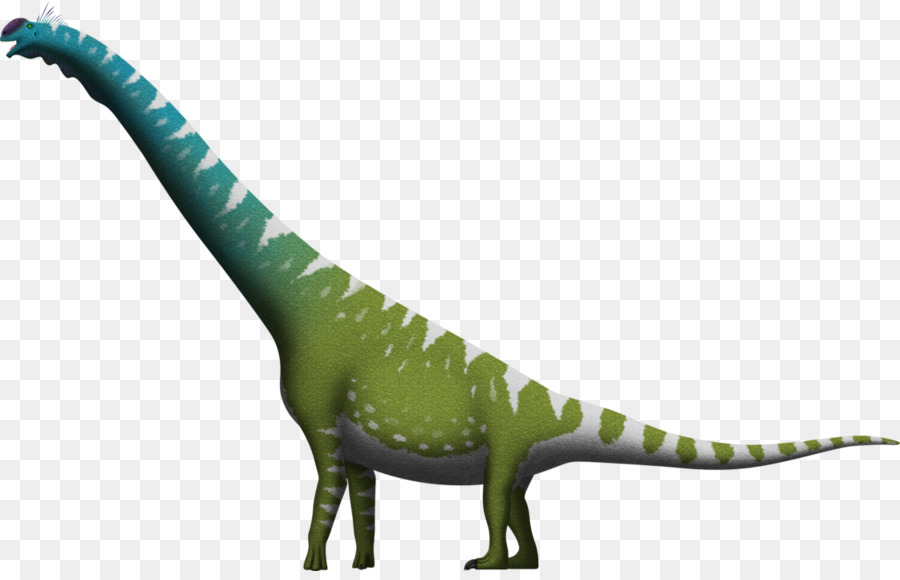 Brachiosaurus，Dinosaurio De Tamaño PNG