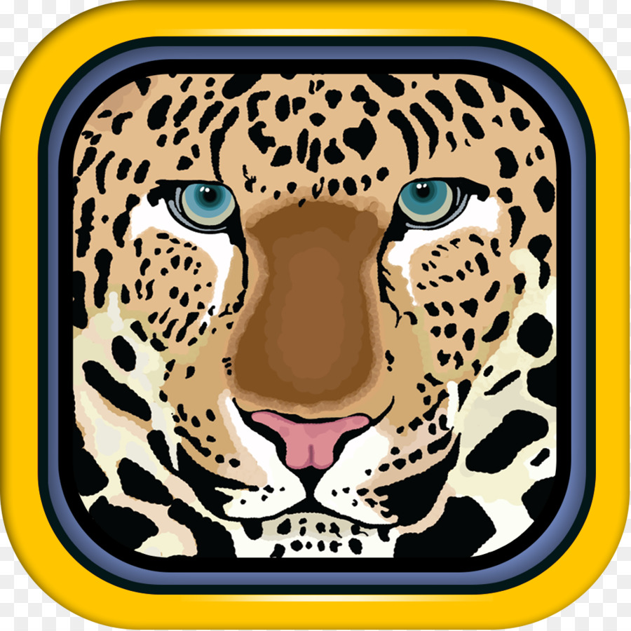 Felidae，Leopard PNG