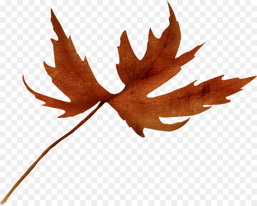 Hoja De Otoño，Caer PNG