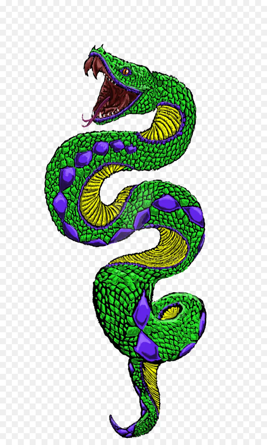 Serpiente Verde，Reptil PNG