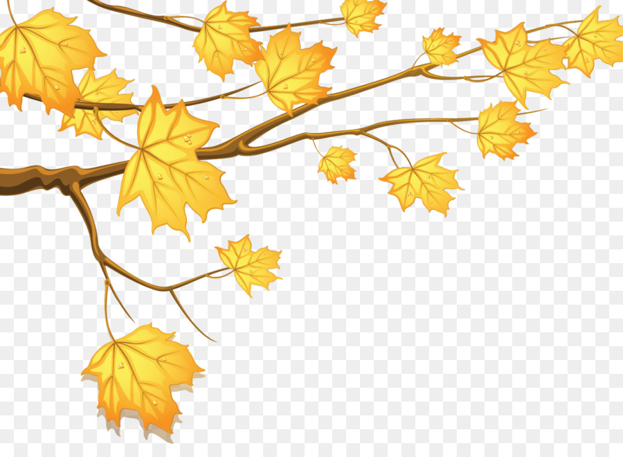 Hojas De Otoño，Caer PNG