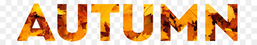 Otoño，Hojas PNG