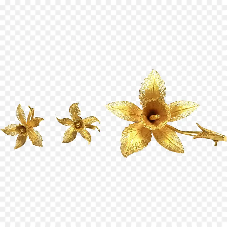 Flores De Oro，Ornamento PNG