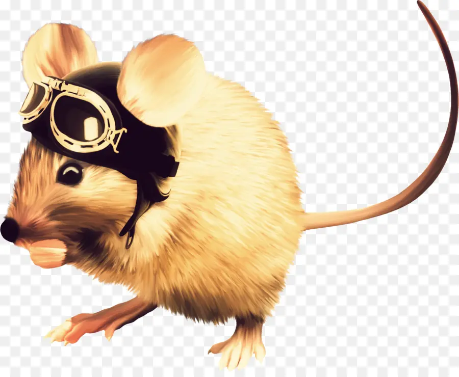 Ratón，Casco PNG