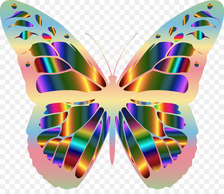 Mariposa，Descargar PNG