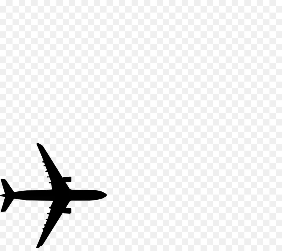 Avión，Vuelo PNG