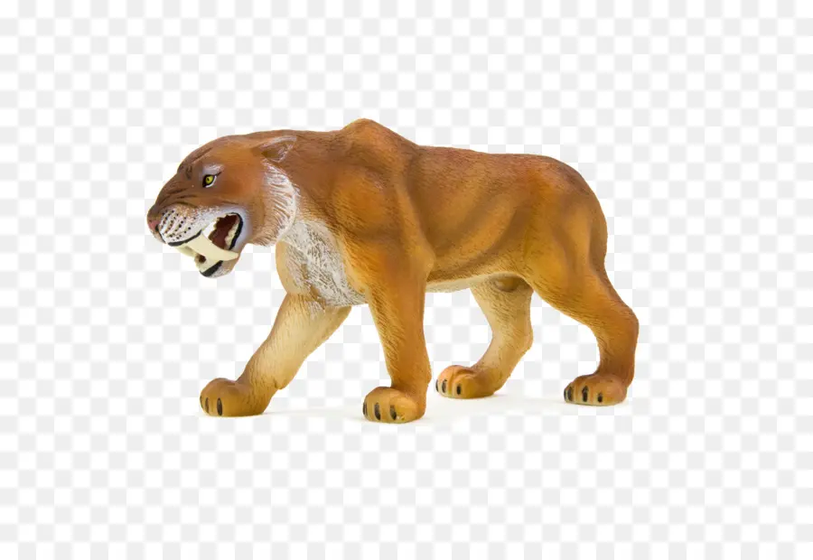 Tigre，Sabertoothed Tigre PNG