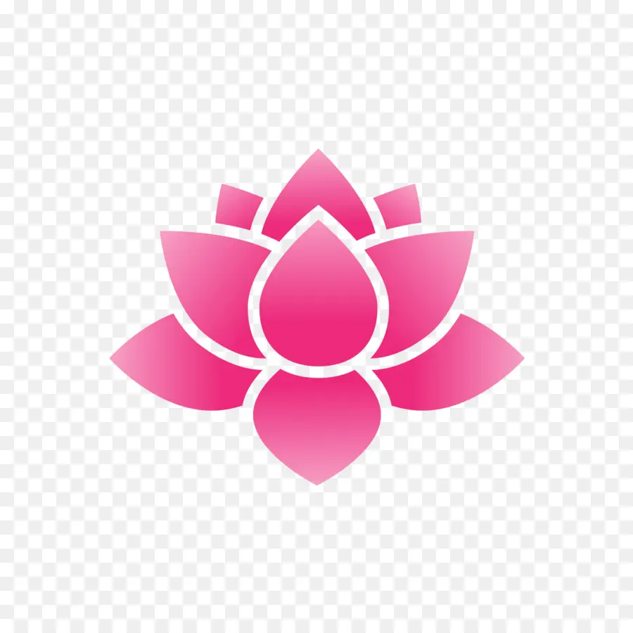 Loto Rosa，Florecer PNG